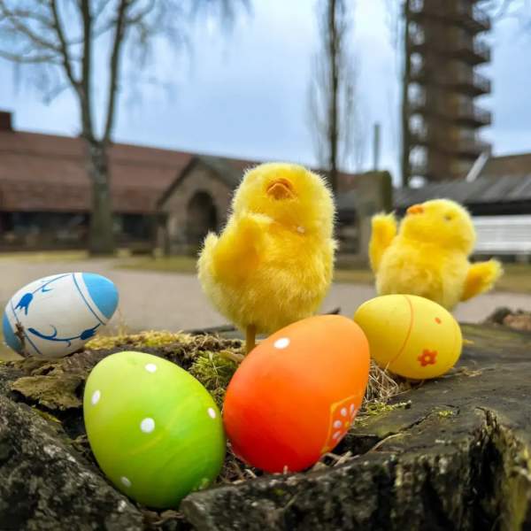 Påskekyllinger og påskeegg utenfor Borgarsyssel museum