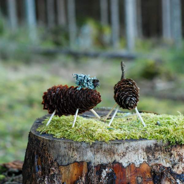 To kongledyr på en stubbe
