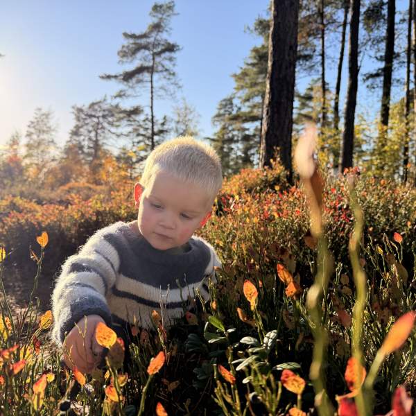 To små gutter i blåbærlungen