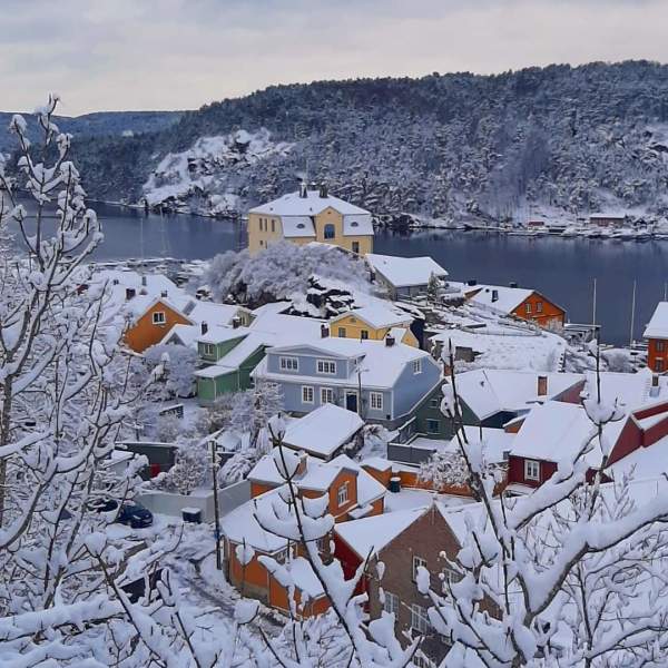 Vinterutsikt fra toppen av Knardalsbakken