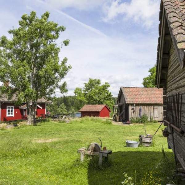Flott sommerdag på Bøensætre i Aremark