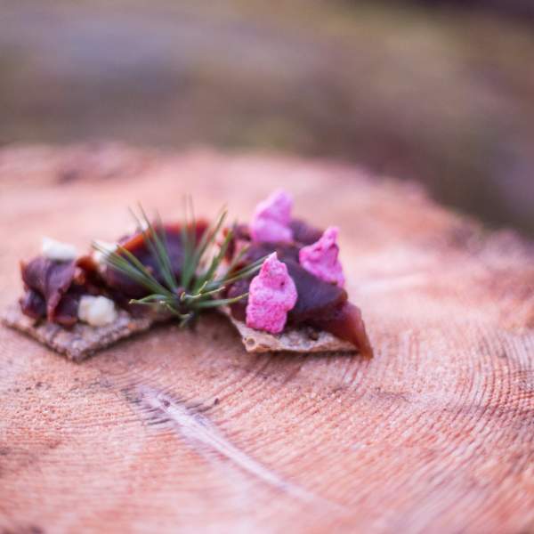 Gourmetmat i naturen servert på trestubbe