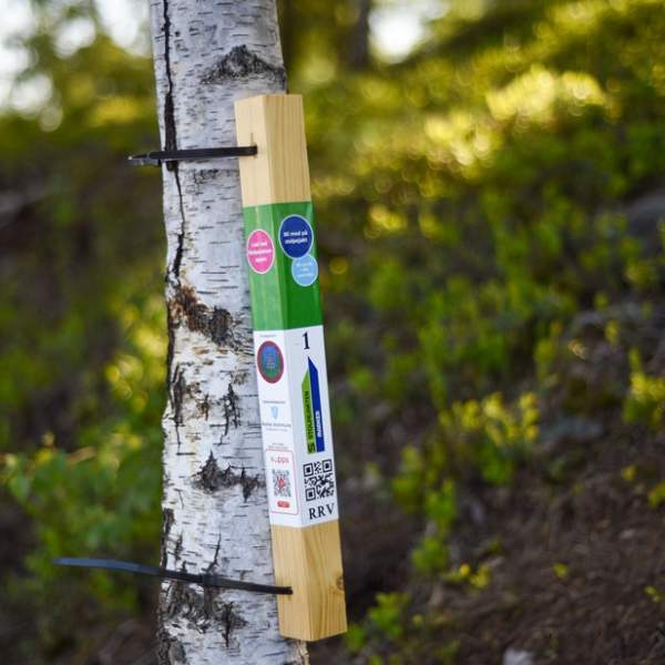 Stolpejakt