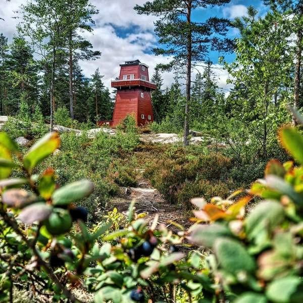 Haukenestårnet