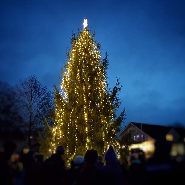 Ett tent stor juletre på torget