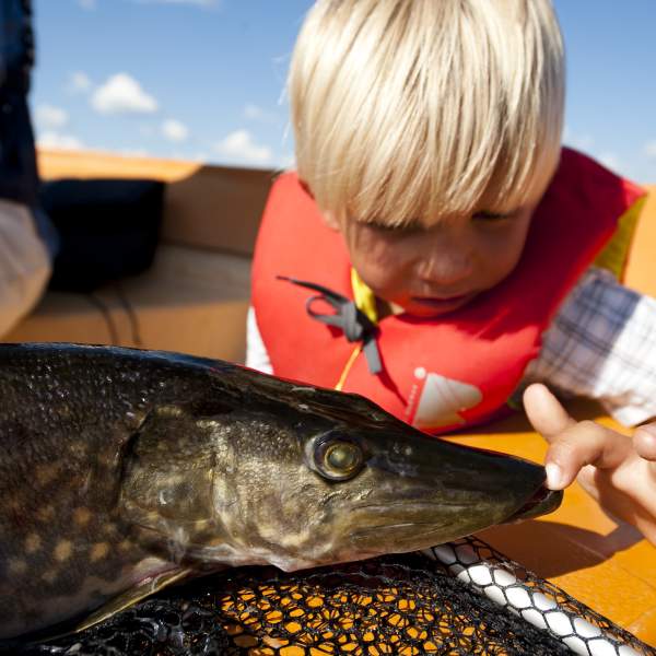 En gutt som holder hånden på munnen til en gjedde