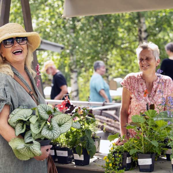 Marked med god stemning under Finnskogdagene