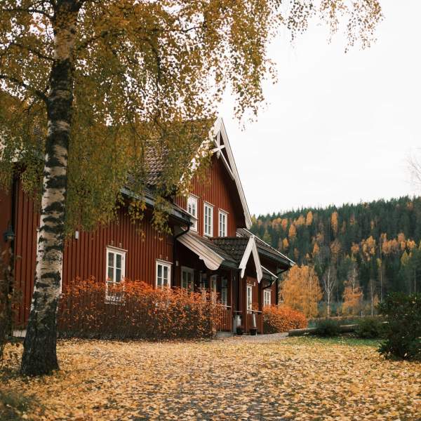 Høst på Opaker gård