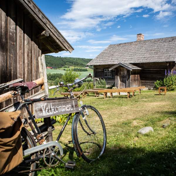 Summer at Prøysenstua