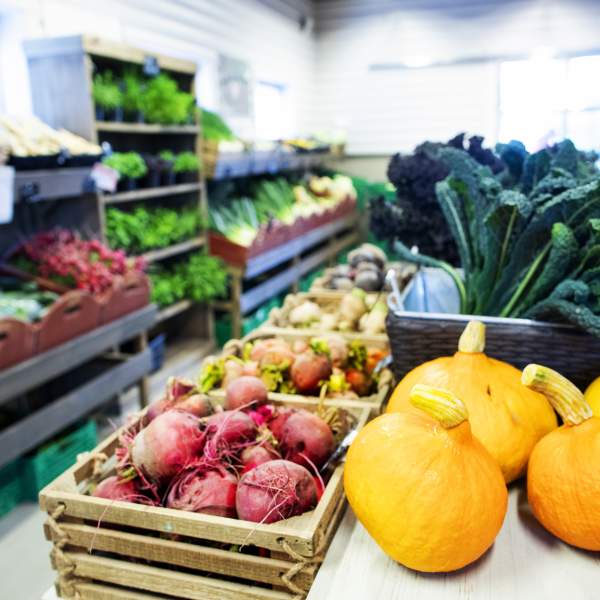 Seasonal fresh produce at Skarstad Gartneri
