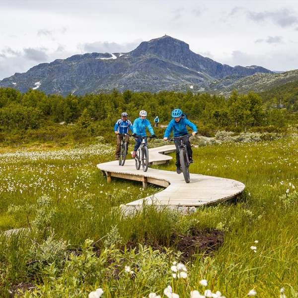 Biking experiences in Valdres