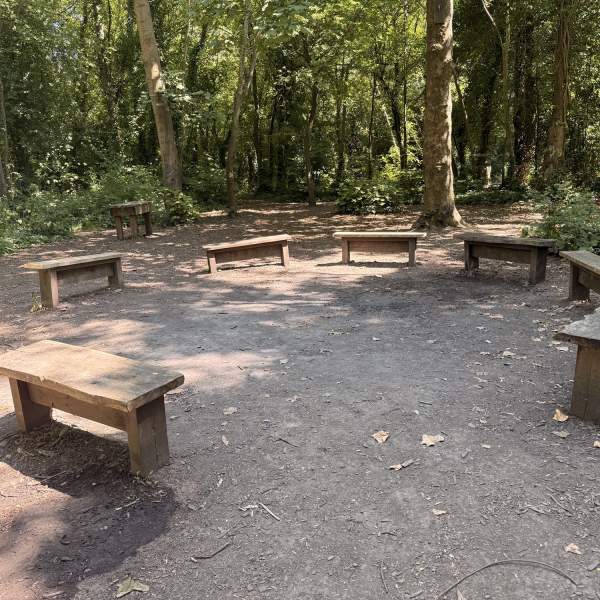 A ring of benches at Foxes Forest used for the Portsmouth Forest School