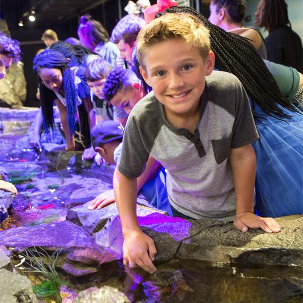 A photo of Shreveport Aquarium
