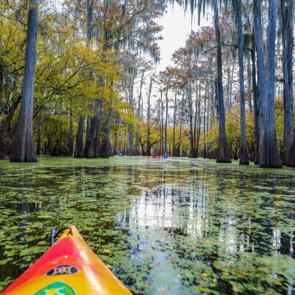 Kayak under mossy trees on Caddo Lake in northern Caddo Parish