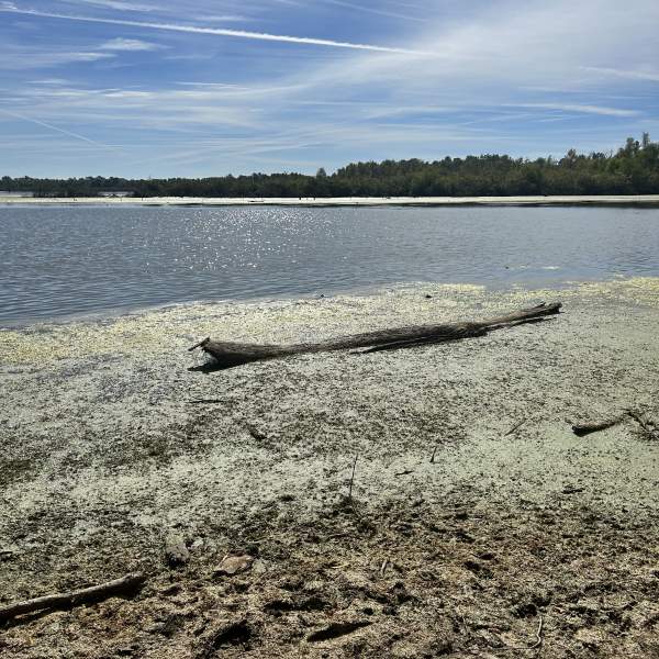 Photo of Red River Refuge Beach Area