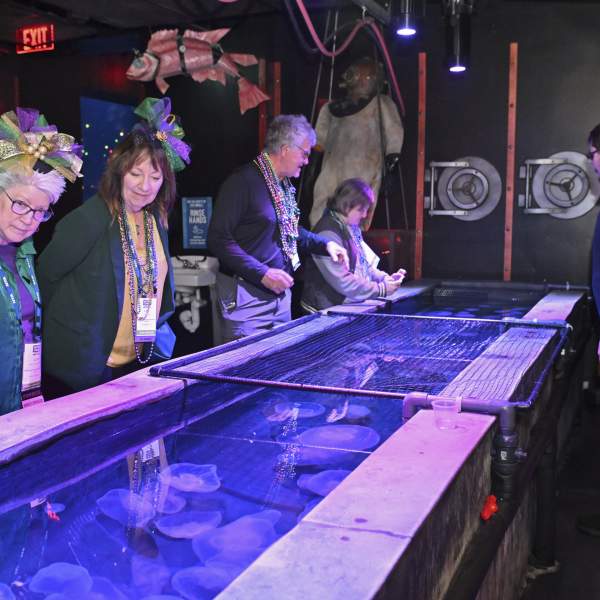 Photo of Group Tour at Shreveport Aquarium