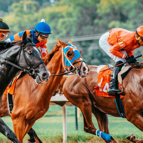 Louisiana Downs Casino & Racetrack Horseracing
