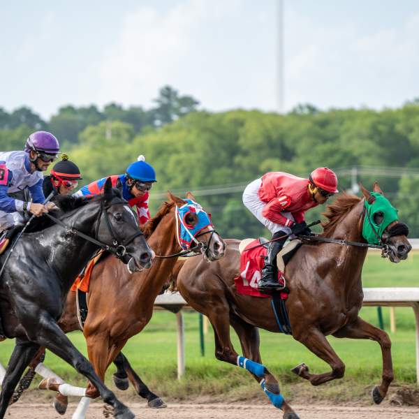 Horse race at Louisiana Downs Casino & Racetrack