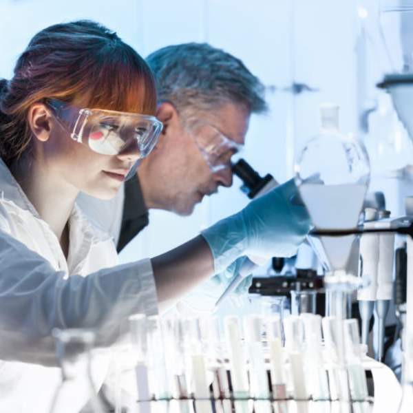 People working in laboratory
