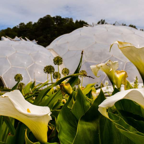 Embracing Sustainability