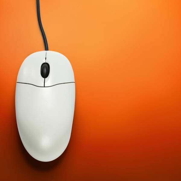 mouse