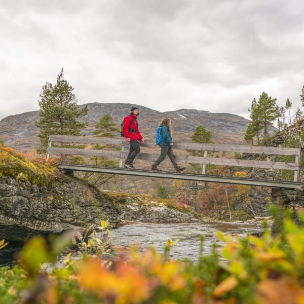 På tur i Vettismorki, Årdal