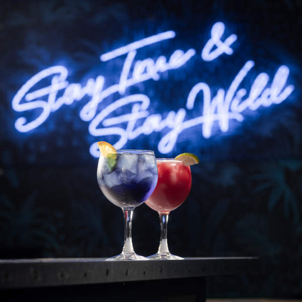 Blue and pink cocktails at Grumpy Monkey