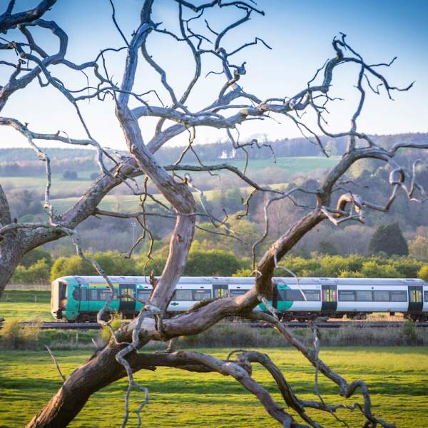 an image of a train travelling through countryside with arundel hills in the background