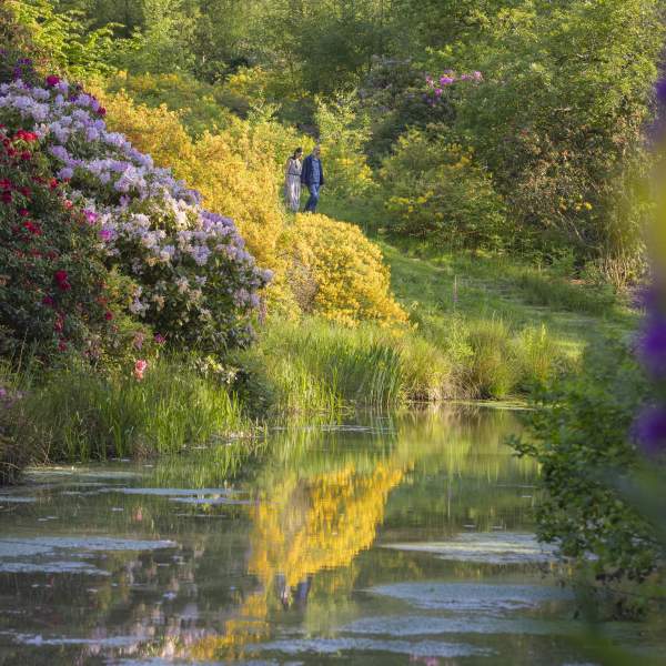 A lake surrounded by colourful spring shrubs, with a couple walking along the bank at Leonardslee Gardens, Sussex