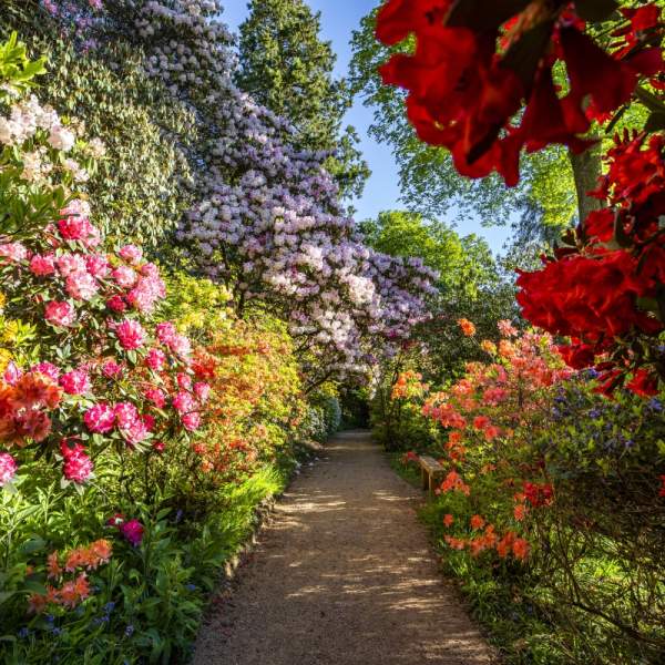 Discover the stunning gardens of Sussex