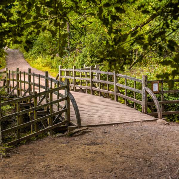 Winnie-the-Pooh at 100: visit the Sussex locations of the beloved books