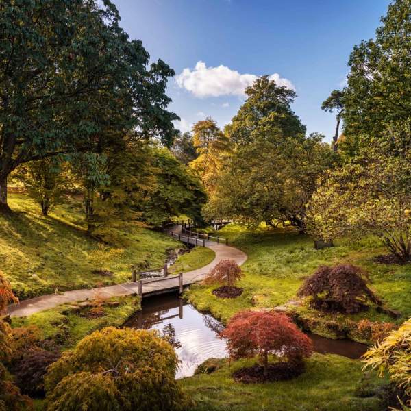 Wakehurst in Autumn