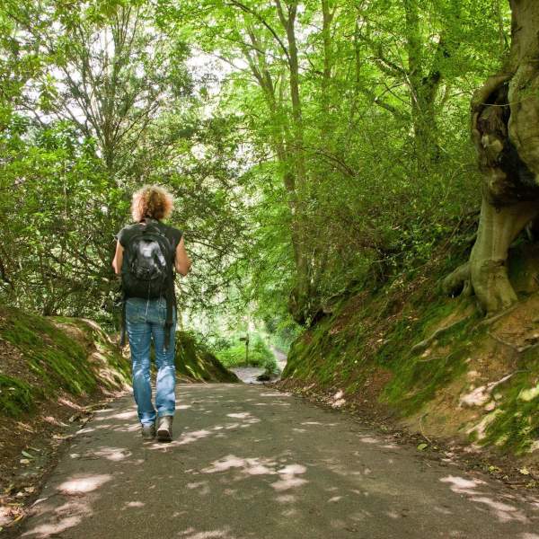 walking in the weald