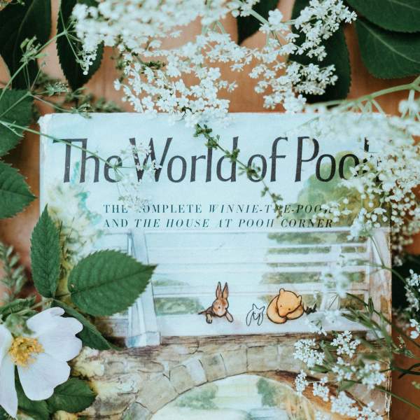 Winnie-the-Pooh and the Sussex Countryside: A Storybook Journey
