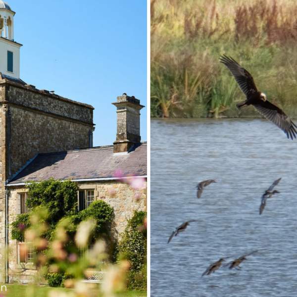 Parham House and Pulborough Brooks