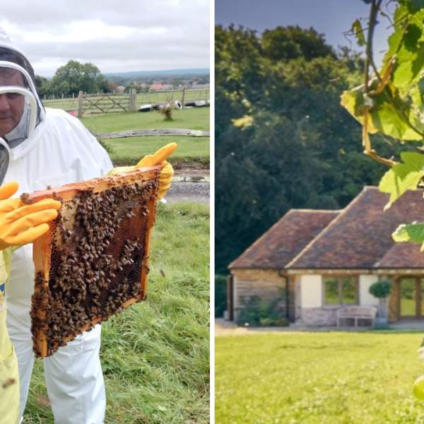 Bee Keeping Honey experiences & wine at Wiston