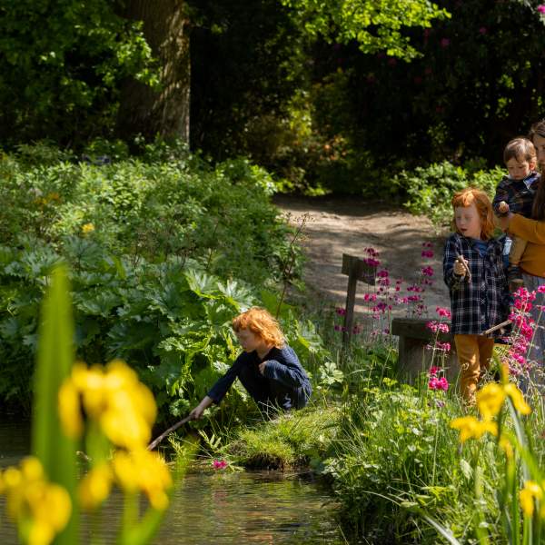 Family fun at Leonardslee Gardens - a family pond dipping in the sunshine