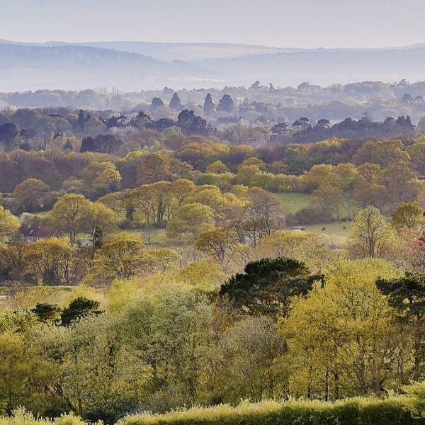 High Weald Sussex