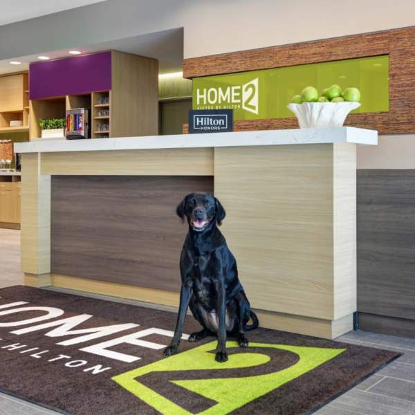 If you're planning a weekend getaway with your furry friend, finding dog-friendly lodging can be a challenge. Fortunately, there are options available that cater to pet owners; in fact, several hotels in Union County welcome dogs with open arms.    When searching for dog-friendly lodging, it's important to consider your pet's needs. Look for accommodations that offer pet-friendly amenities like fenced-in yards, dog beds, and food and water bowls. It's also important to check the pet policy and any associated fees before booking.   Hotels Offering Pet Friendly Rooms: Home2 Suites, Super 8 and Quality Inn Hotels That Welcome Service Animals: Fairfield Inn & Suites, Hampton Inn, Holiday Inn Express Pet-Friendly Camping: Pastime Campground & Park and Richwood Lake Park