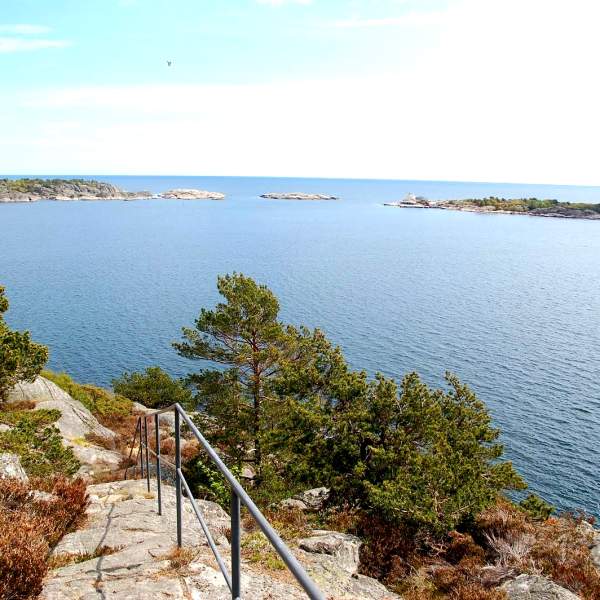 høstbilde