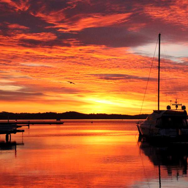 solnedgang