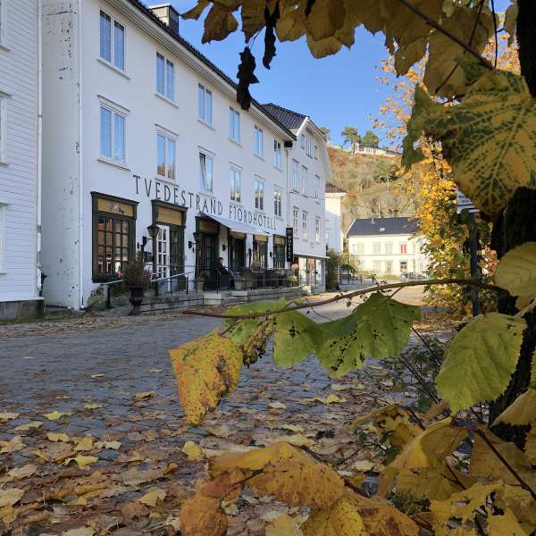 høst i byen