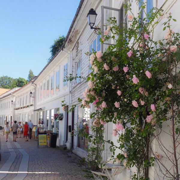 gate med blomsterbusk