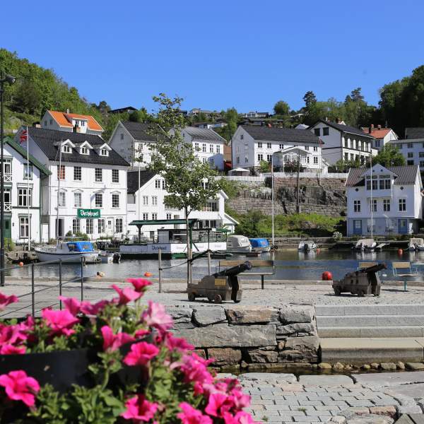 blomster og hvite trehus