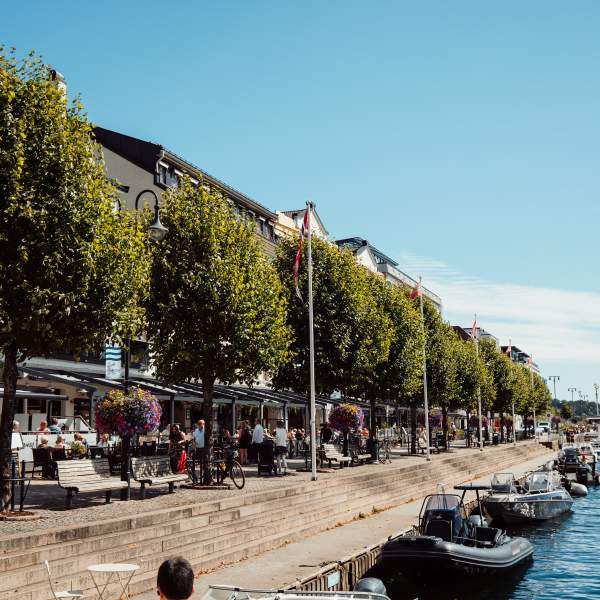 Arendal vårbilde Pollen