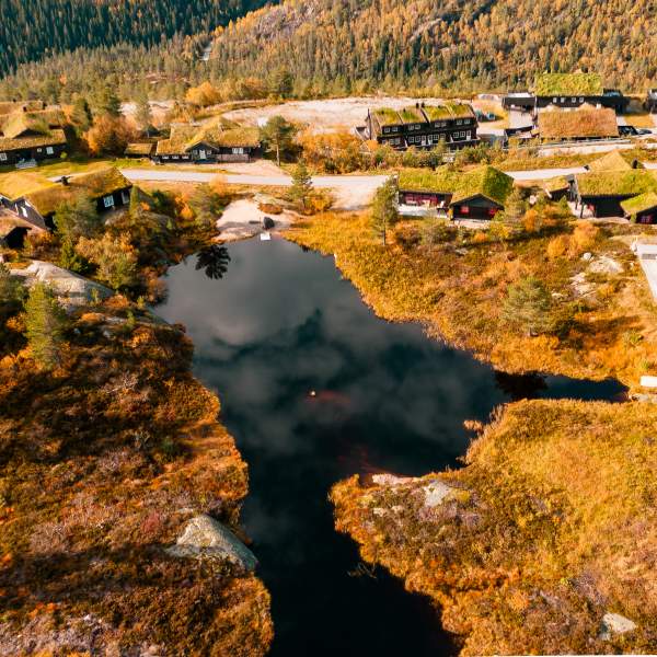 dronebilde over høstlandskap
