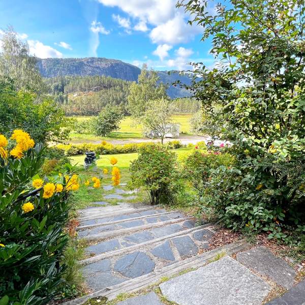 Blomster og grønne vekster ved en steintrapp