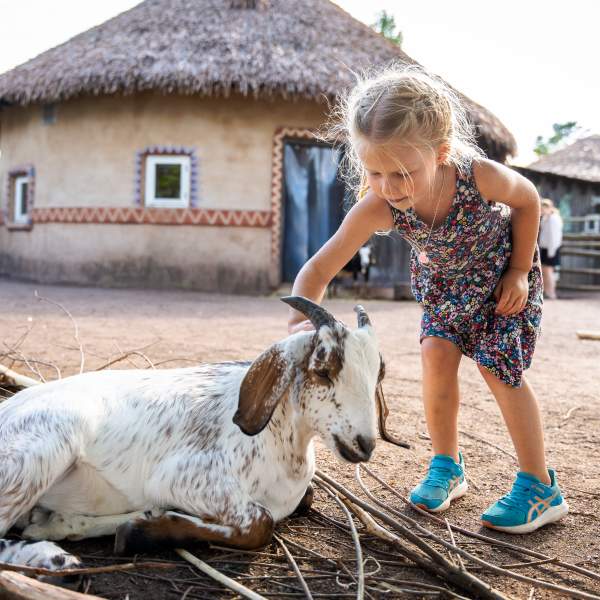 Barn som klapper en geit