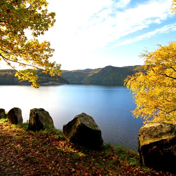 Bøensbakken in autumn