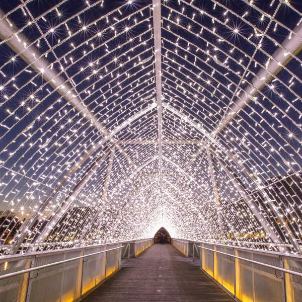 Stjerneporten i Kvinesdal 2020